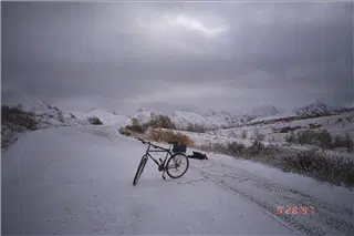 small_9710 3401 alaskaIMG0009.webp